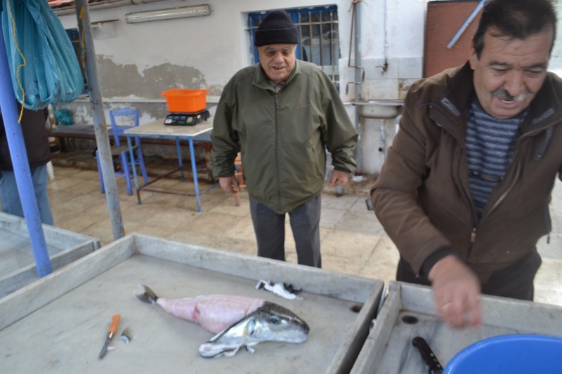 Ψαρεύτηκε μεγάλο λαγόψαρο στα Χανιά