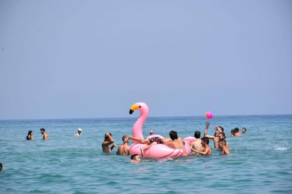 Χανιά | Επεισοδιακή βόλτα για παρέα με… ροζ φλαμίνγκο!