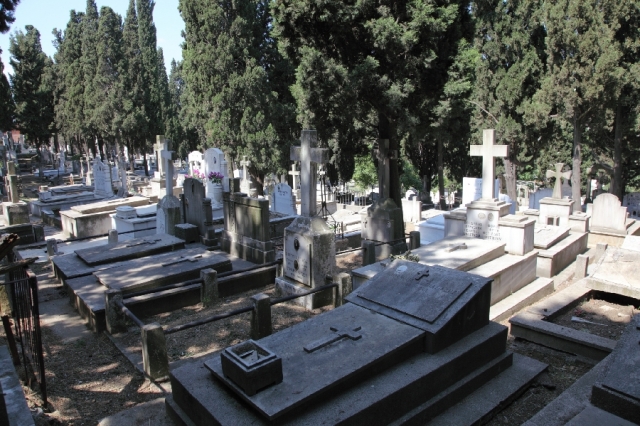 Κουζουλάθηκε ο αγρότης: Του έκαναν το λιόφυτο... νεκροταφείο!