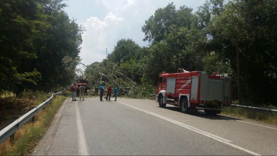 Ένας νεκρός από πτώση δένδρου που καταπλάκωσε διερχόμενο αυτοκίνητο