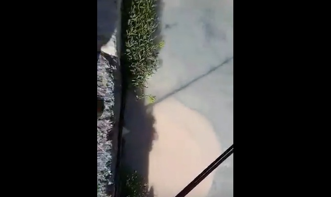Εικόνες ρύπανσης στο Παλιό λιμάνι των Χανίων (βίντεο)