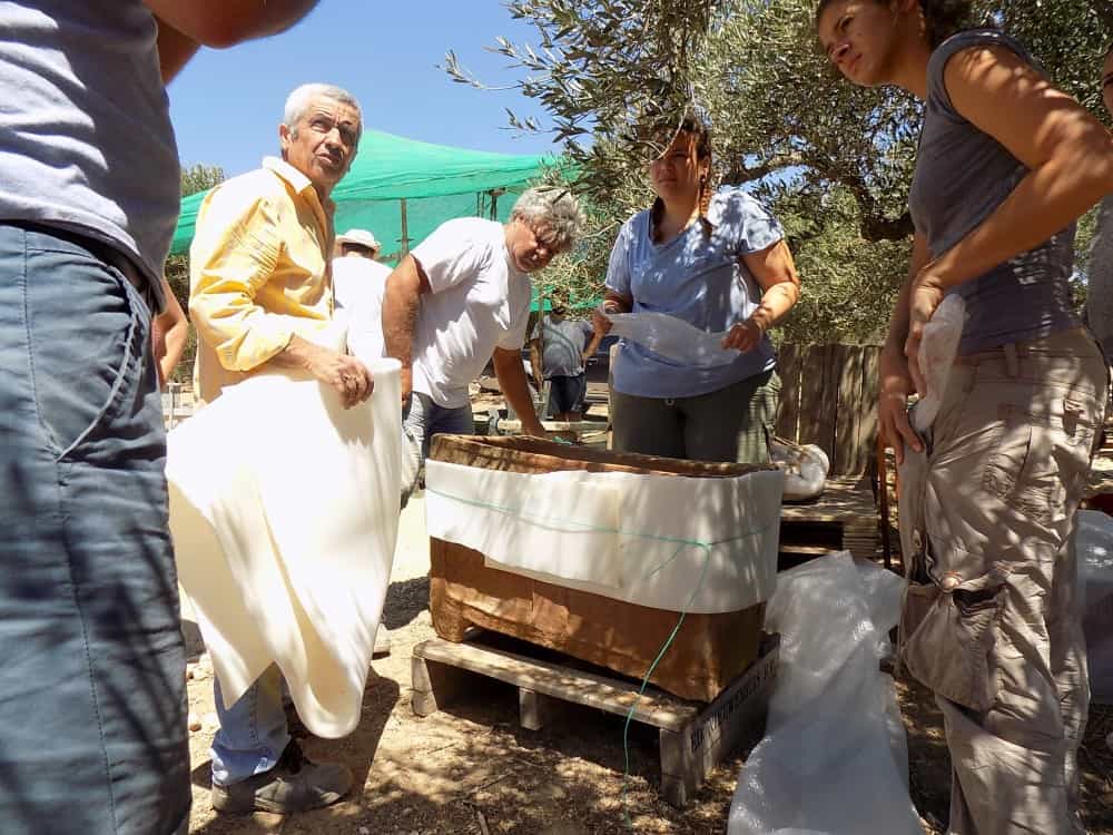  Κρήτη: Απίστευτη ανακάλυψη: Βούλιαξε το έδαφος και βρέθηκε μινωικός τάφος! (Photos)