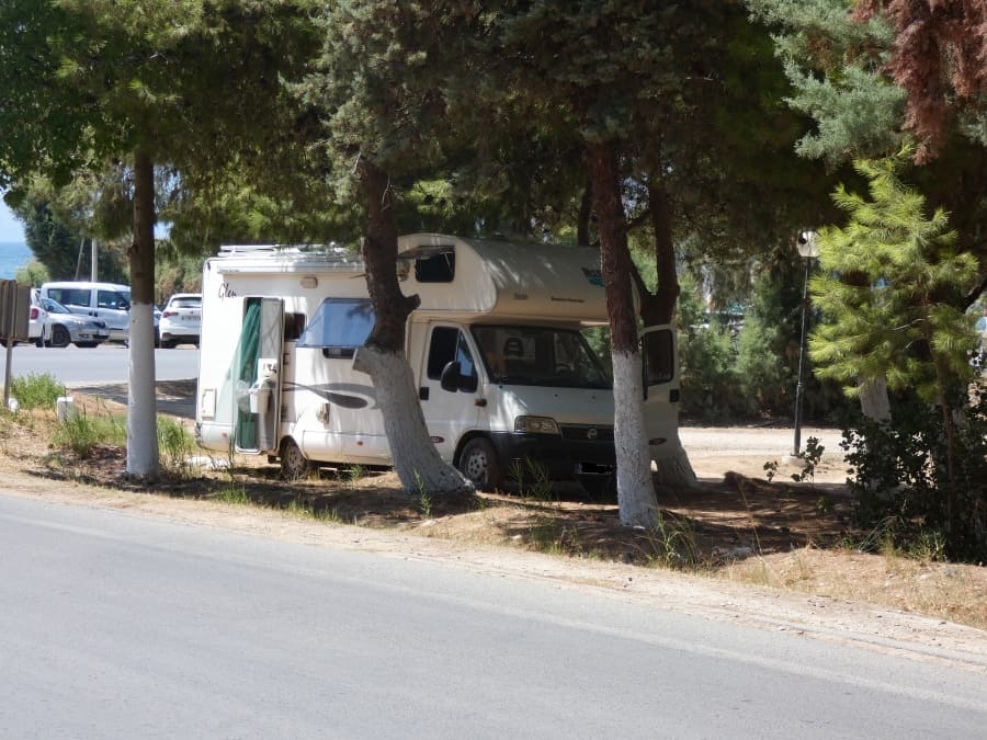 Δεν έχει προηγούμενο η καταπάτηση που γίνεται στο άλσος των Αγίων Αποστόλων στα Χανιά, με κάθε λογής όχημα να μπαίνει ανάμεσα στα δέντρα και να παρκάρει