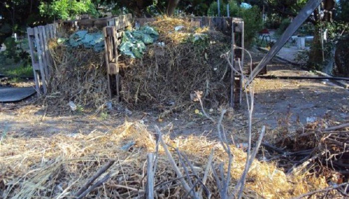Θρίλερ με σκελετό στη Χρυσή - Βρέθηκε από τουρίστα μέσα σε σακούλα (φωτο)