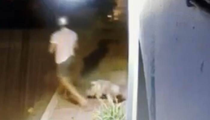 Χανιά:Εγκατέλειψε το σκύλο έξω από κτηνιατρείο και έφυγε σαν κύριος (βιντεο)