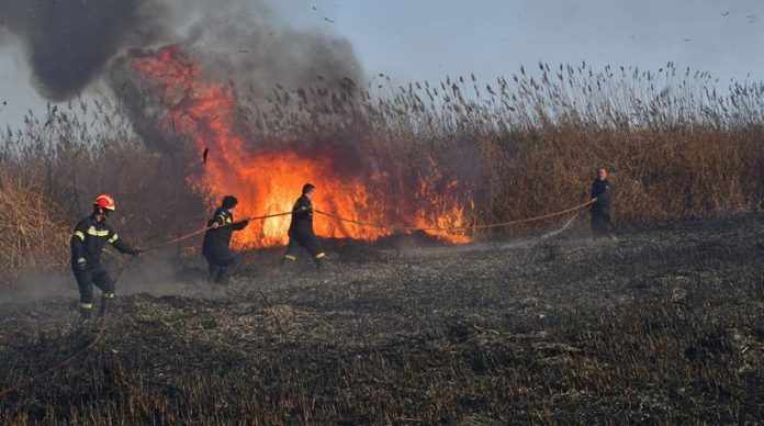 Πυρκαγιά σε καλαμιές στο Γεράνι του Δήμου Πλατανιά, εκδηλώθηκε τις πρωινές ώρες.