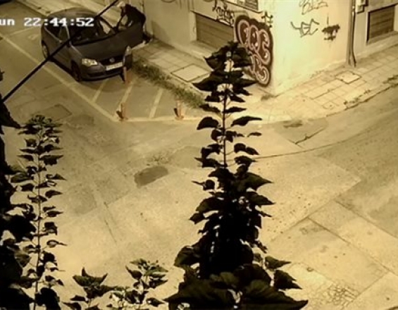 Ανατριχιαστικές εικόνες από τον ξυλοδαρμό γνωστού δημοσιογράφου (βίντεο)