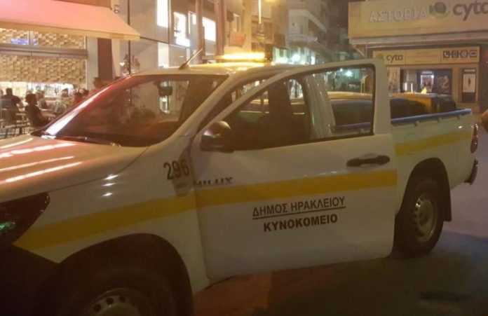 Κρήτη:Επίθεση αγριεμένου σκύλου σε νεαρή γυναίκα και αστυνομικό-Δείτε βίντεο