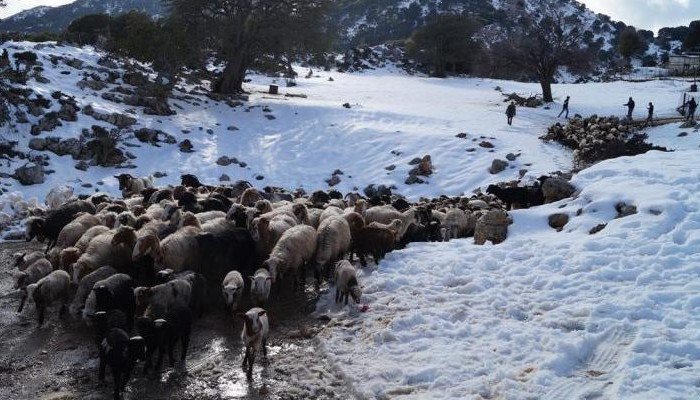 Προσοχή! Προειδοποίηση σε κτηνοτρόφους και ιδιοκτήτες σκαφών λόγω καιρού!