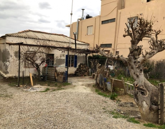 Χανιά: Φιλί ζωής για την γιαγιά με τα πέντε εγγόνια της! (photo)