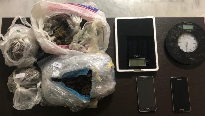 Χανιά: Η καβάτζα για το χασίς ήταν κάτω από πέτρες και μέσα σε κορμούς δένδρων