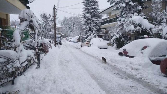«Έσπασε» όλα τα ρεκόρ ο Τηλέμαχος! Ιστορικό -23 στη Φλώρινα!