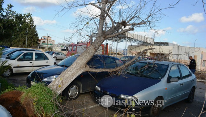 Δέντρο πλάκωσε δύο αμάξια στο parking του Νοσοκομείου Χανίων (φωτο)