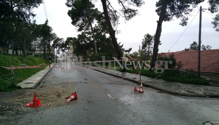 Έκλεισαν τη Γιαμπουδάκη στα Χανιά - Τεράστιο δέντρο είναι έτοιμο να πέσει (φωτο)