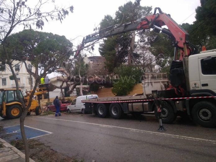 Χανιά: Μετ’ εμποδίων η κυκλοφορία στο κέντρο: Πτώσεις δέντρων και κλειστοί δρόμοι (Photos)