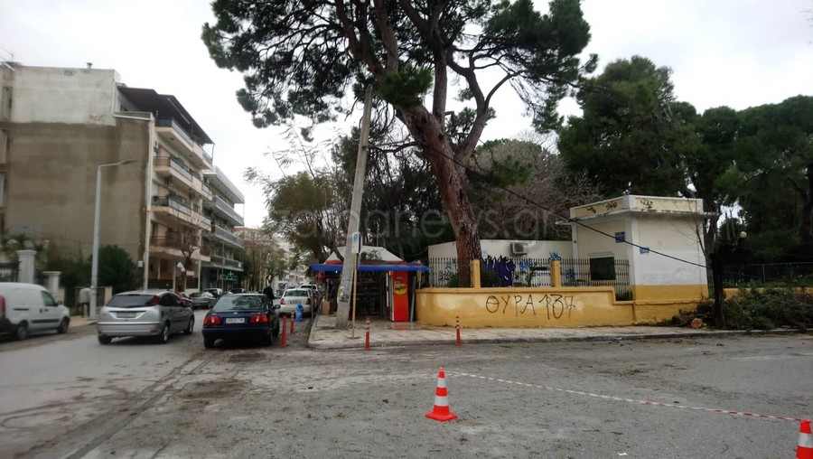 Χανιά: Μετ’ εμποδίων η κυκλοφορία στο κέντρο: Πτώσεις δέντρων και κλειστοί δρόμοι (Photos)