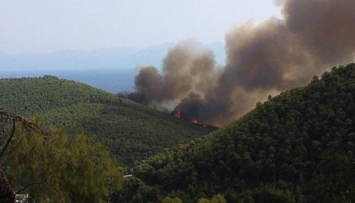 Φωτιά αναστάτωσε τους κατοίκους του Σέμπρωνα