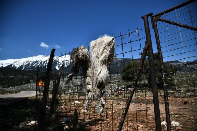 Το χωριό «φάντασμα» στα Χανιά που ερήμωσε για μία… βεντέτα (Photos)