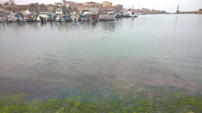 Χανιά: Θλιβερές εικόνες ρύπανσης στο Ενετικό Λιμάνι (Photos)
