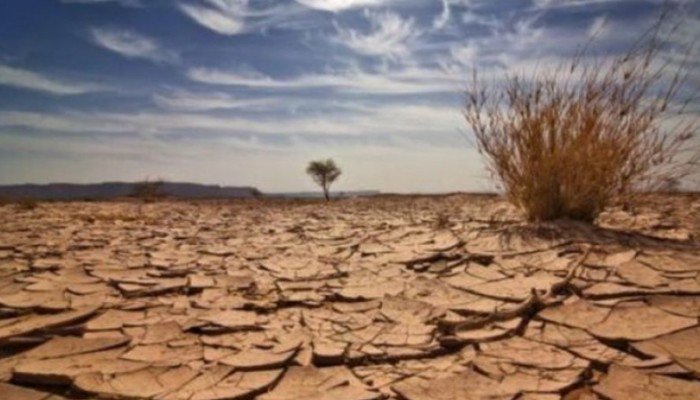 Υψηλός κίνδυνος ερημοποίησης σε περιοχές της Κρήτης