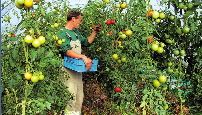 ΕΛΓΑ: Έρχονται 150 προσλήψεις -Δείτε τις θέσεις στην Κρήτη