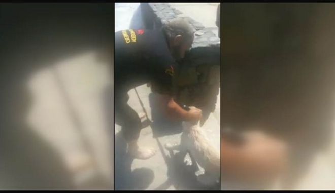 Ασυνείδητοι πέταξαν σκύλο στη θάλασσα στην Κρήτη – Δείτε πώς σώθηκε από τα κύματα