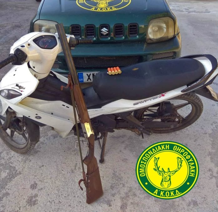 Βγήκαν τη νύχτα για κυνήγι! Χειροπέδες σε δύο λαθροθήρες