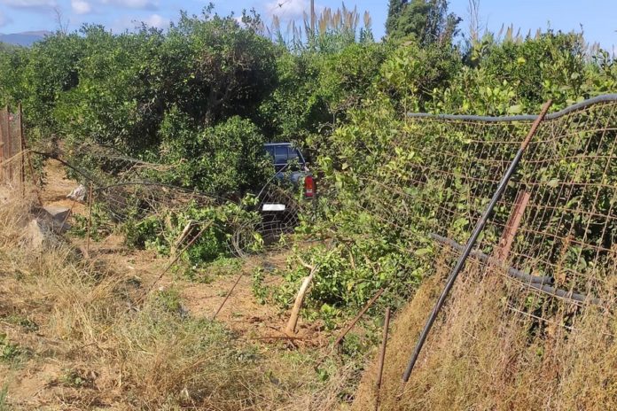 Αγροτικό έφυγε από το δρόμο και έπεσε σε χωράφι με πορτοκαλιές