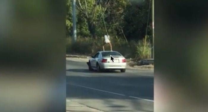 Χειροπέδες σε 23χρονη που έκανε twerking σε οροφή αυτοκινήτου… εν κινήσει!