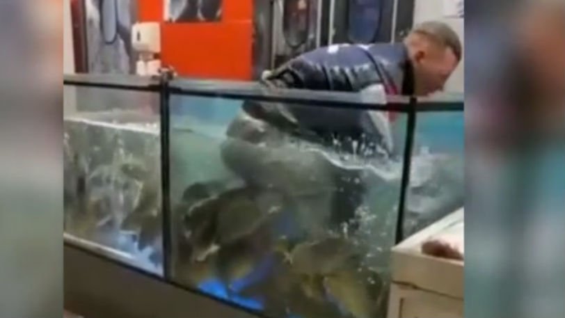 Μπήκε μέσα σε ενυδρείο με ψάρια για να πάρει το δαχτυλίδι που πέταξε η κοπέλα του όταν της έκανε πρόταση γάμου (video)