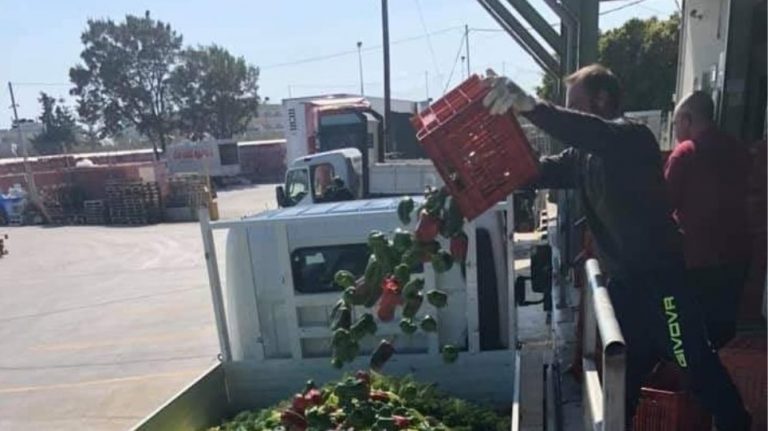 Καταστροφή για τους Κρητικούς αγρότες - Στα αζήτητα η παραγωγή