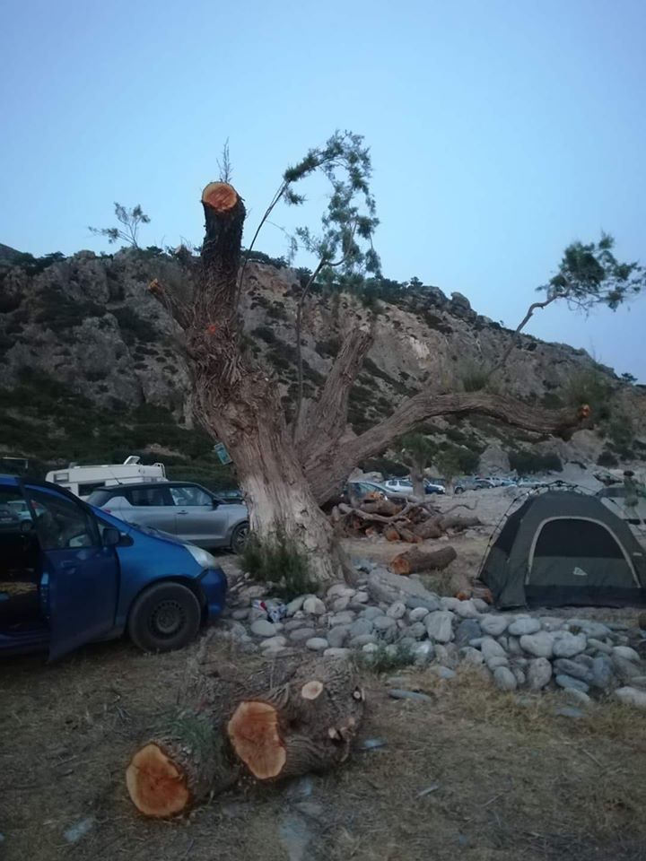Χανιά: Έκοψαν τα δέντρα στην Σούγια για να διώξουν τους κατασκηνωτές (φωτο)