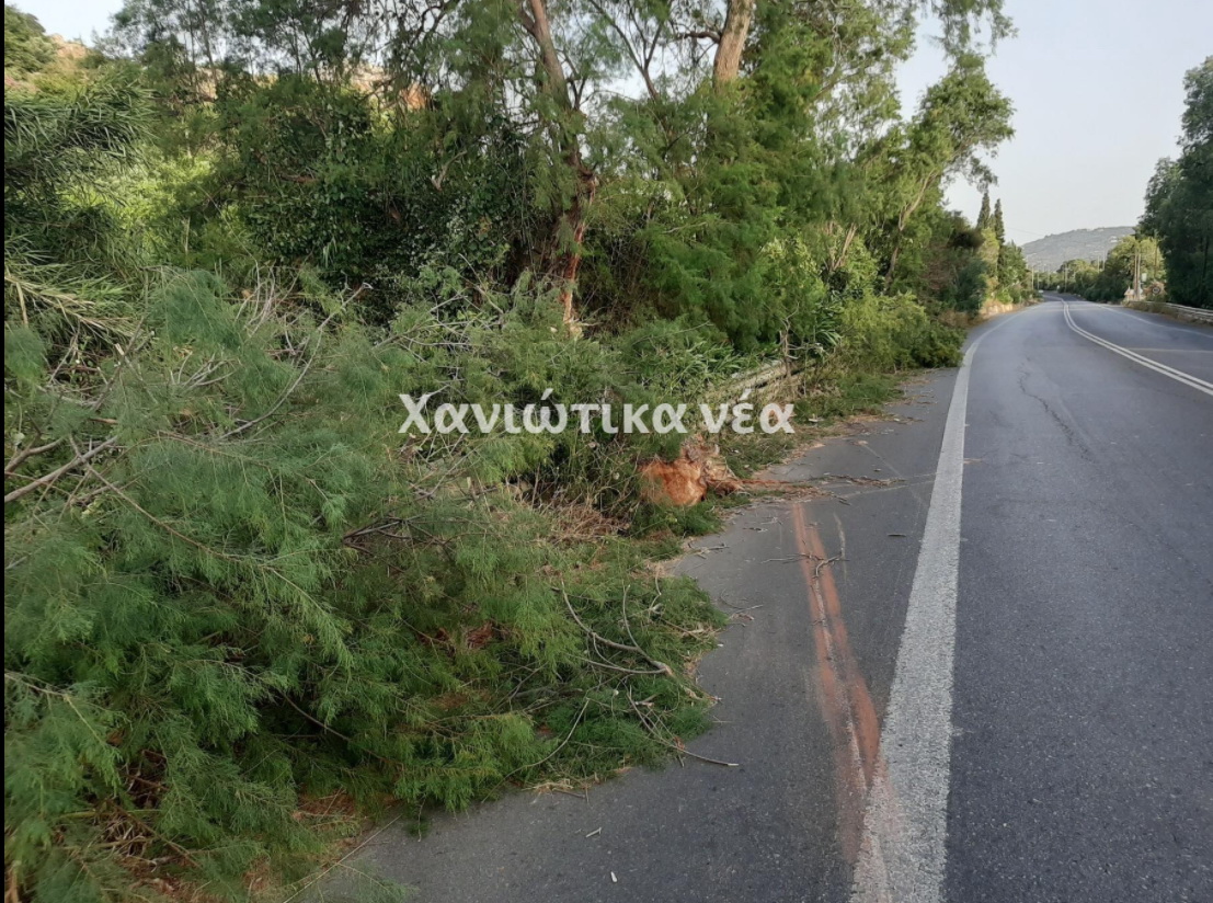 Χανιά: Δέντρο έπεσε στην εθνική στο Πλατάνι Σούδας (φωτο)