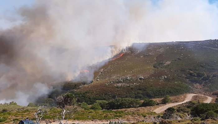 Χανιά: Εκκενώνεται το Κεδρόδασος - Στις αυλές των σπιτιών στη Σκλαβοπούλα έφθασε η φωτιά