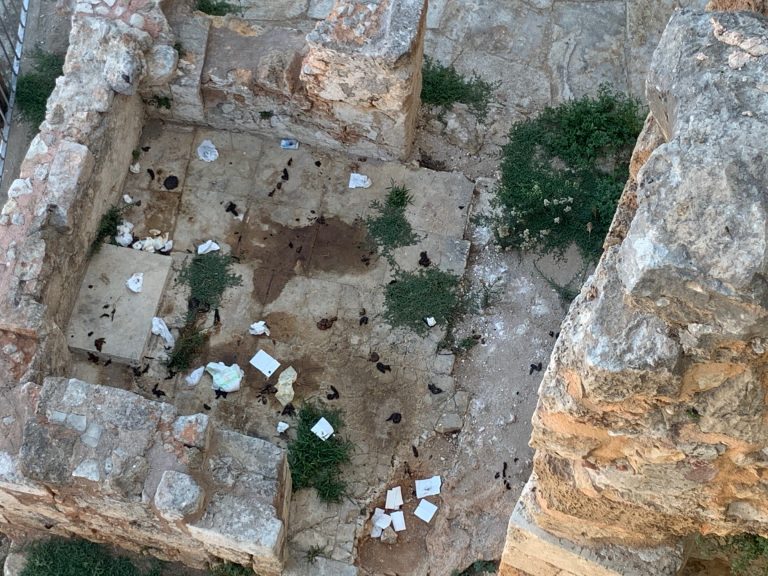 Χανιά: Περιττώματα μέχρι & πάνα μωρού μπορούν να φωτογραφίσουν τουρίστες στο παλιό λιμάνι