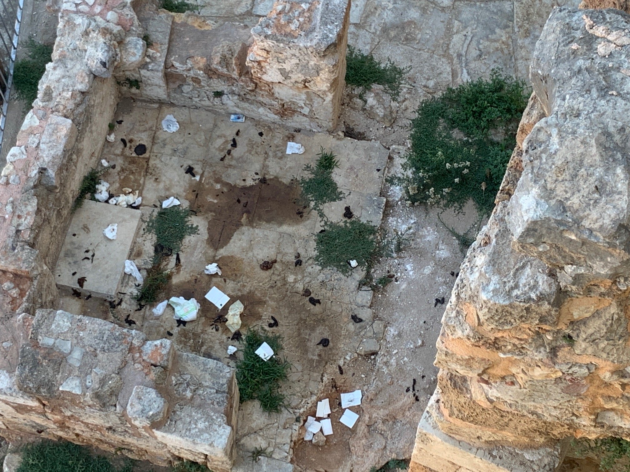 Χανιά: Περιττώματα μέχρι & πάνα μωρού μπορούν να φωτογραφίσουν τουρίστες στο παλιό λιμάνι