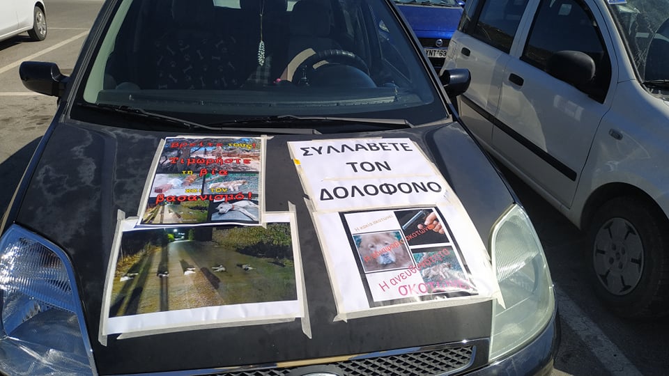Χανιά: Αυτοκινητοπορεία για την δολοφονία σκυλιών με σύνθημα «ΒΡΕΙΤΕ ΤΟΥΣ!» (φωτο)