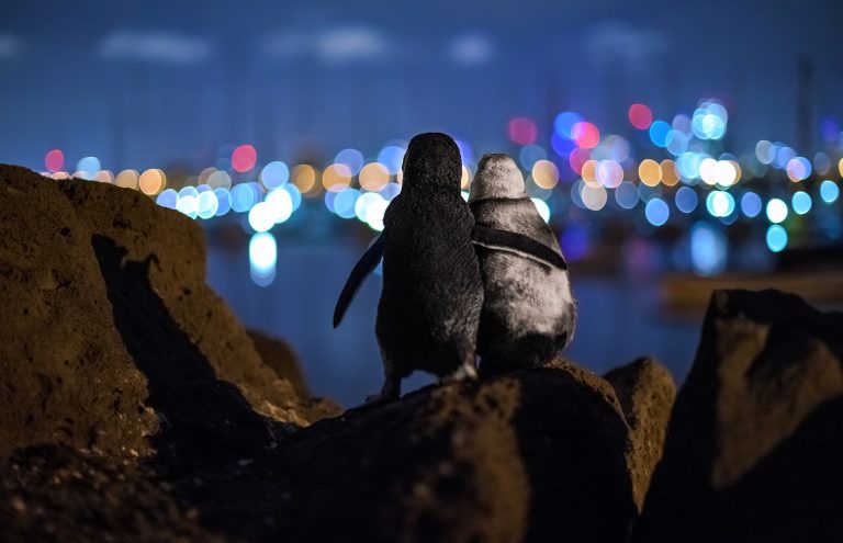 © Tobias Baumgaertner/Instagram