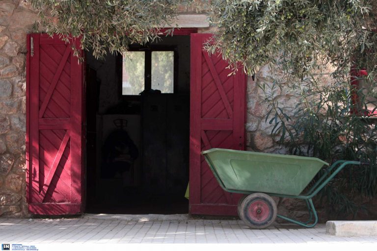 Συνελήφθη 20χρονος Πακιστανός που αποπειράθηκε να βιάσει πεντάχρονο κοριτσάκι