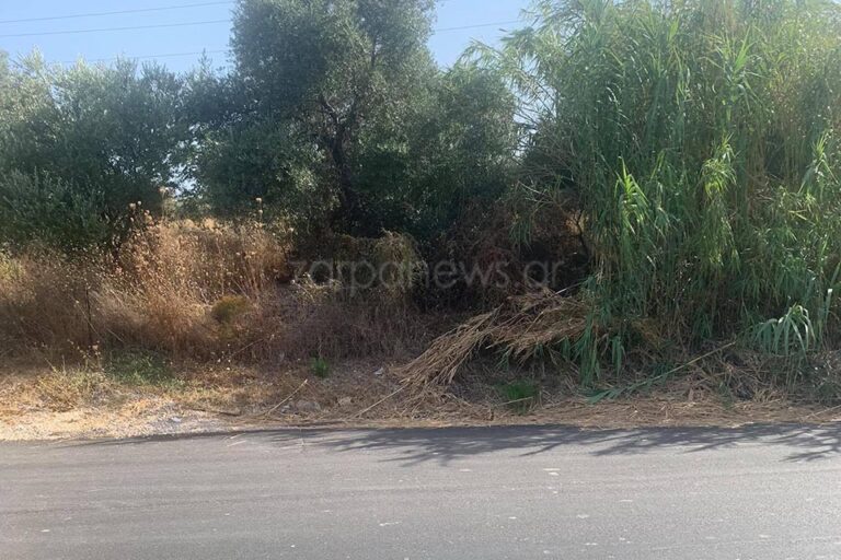 Χανιά: Παραμελημένα ξερόχορτα περιμένουν μία… σπίθα για να λαμπαδιάσουν στο πλάι της εθνικής (φωτο)