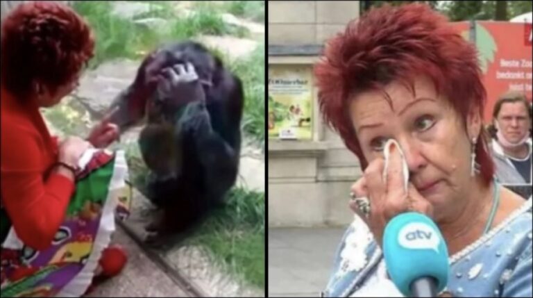 Ζωολογικός κήπος απαγόρευσε σε γυναίκα να βλέπει έναν χιμπατζή: «Έχουμε σχέση», λέει