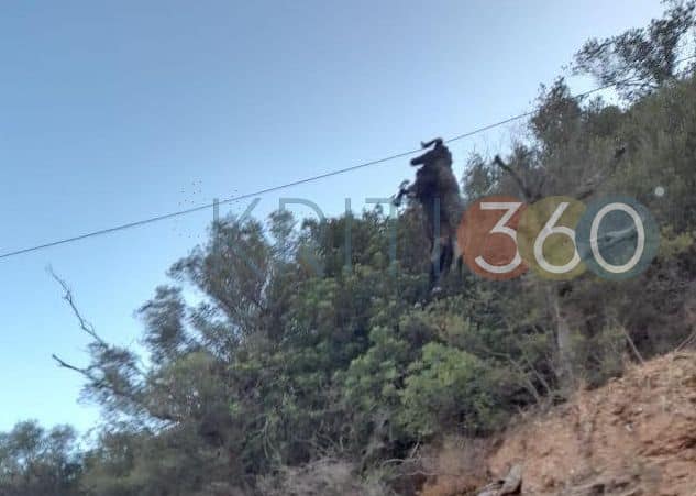 Χανιά: Κριάρι κρεμάστηκε από καλώδιο της ΔΕΗ στη μέση του δρόμου! (φωτο)
