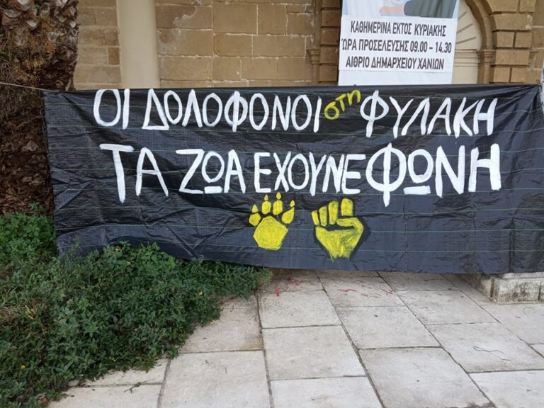 Ένοχος ένας Χανιώτης για τον θάνατο δυο σκυλιών - Η ποινή που του επιβλήθηκε