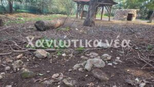 Χανιά: Έδιωξαν τα κρι-κρι του Δημοτικού Κήπου (φωτο)