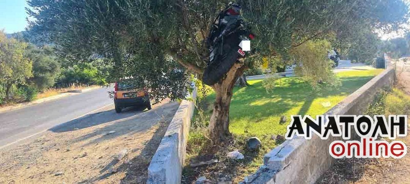 Κρήτη: Απίστευτο τροχαίο! - Μηχανή ανέβηκε πάνω σε ελιά (φωτο)