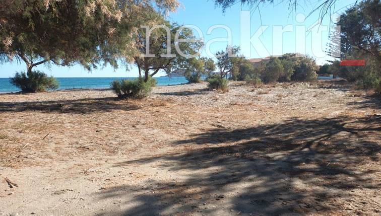Χανιά: Νέες αποκαλύψεις για τον ομαδικό βιασμό - Τη φωτογράφισαν γυμνή πριν την εγκαταλείψουν