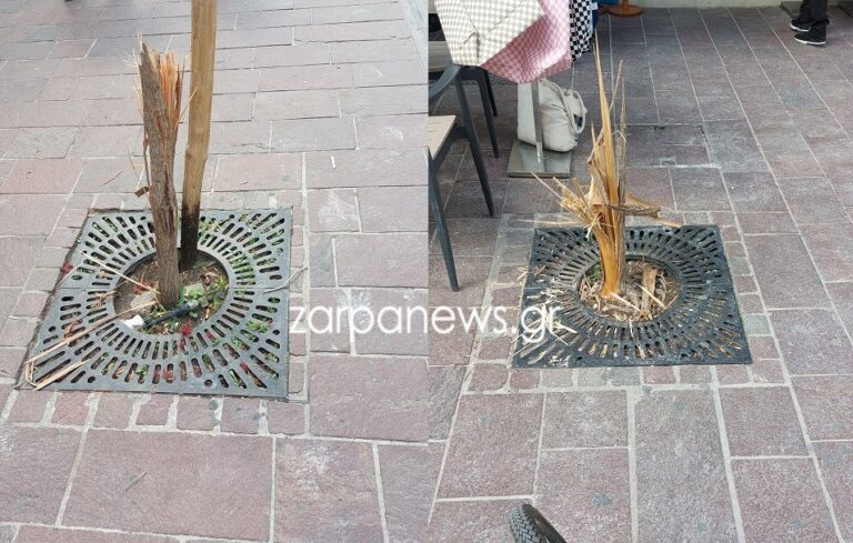 Χανιά: Αγανάκτηση για νεαρούς που κατέστρεψαν δεντράκια χωρίς κανέναν λόγο (video)