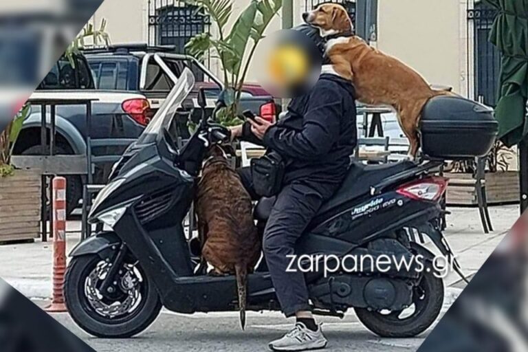 Χανιά: Πρόστιμο 1.500 ευρώ σε οδηγό για τρικάβαλο με δύο σκύλους - «Δεν είναι επικίνδυνο» λέει ο ίδιος