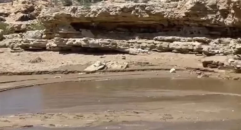 Χανιά: Βρωμιά και δυσωδία στην παραλία των Απτέρων (φωτο)
