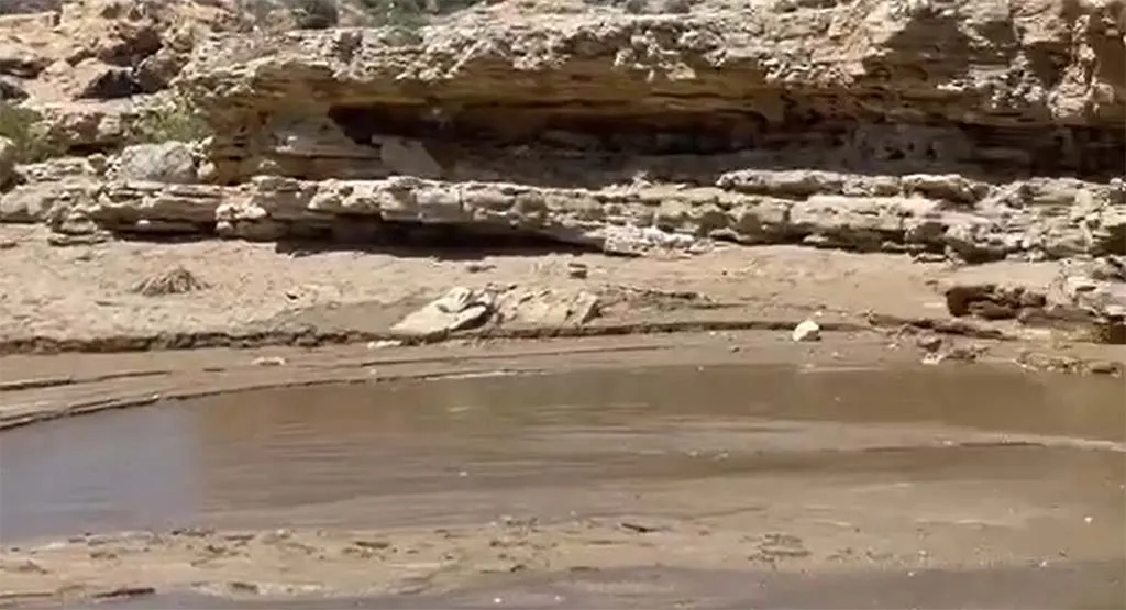 Χανιά: Βρωμιά και δυσωδία στην παραλία των Απτέρων (φωτο)